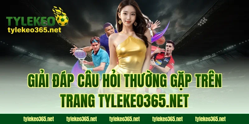 Giải đáp câu hỏi thường gặp trên trang webpagedesign.io