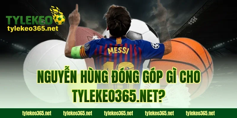 Nguyễn Hùng đóng góp gì cho webpagedesign.io?