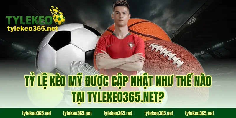 Tỷ lệ kèo Mỹ được cập nhật như thế nào tại webpagedesign.io?